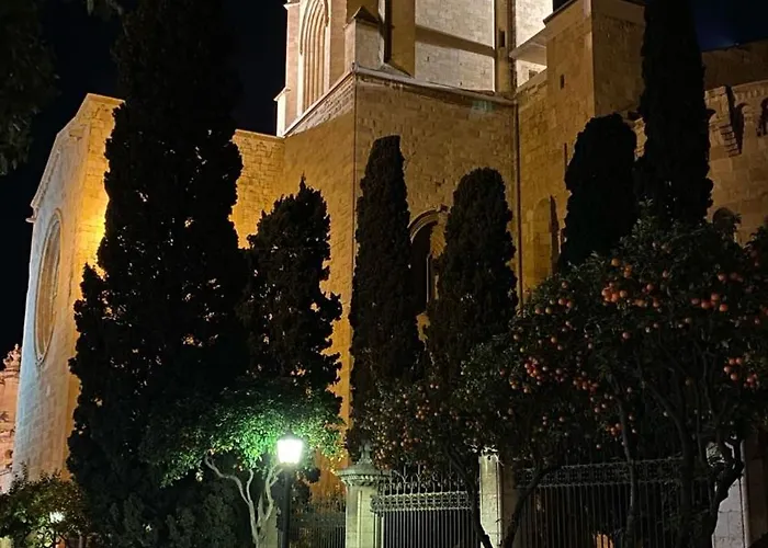 Tarraco Ruisenor Tarragona