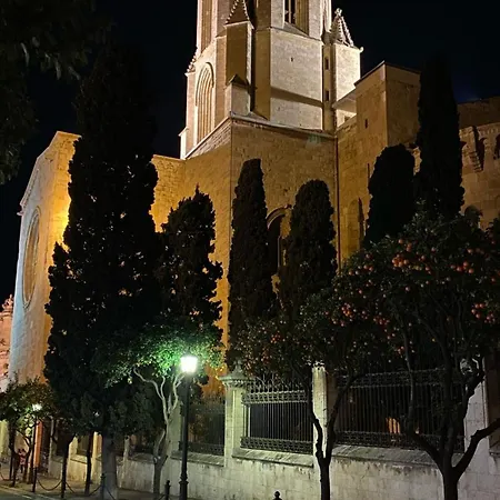Tarraco Ruisenor Tarragona